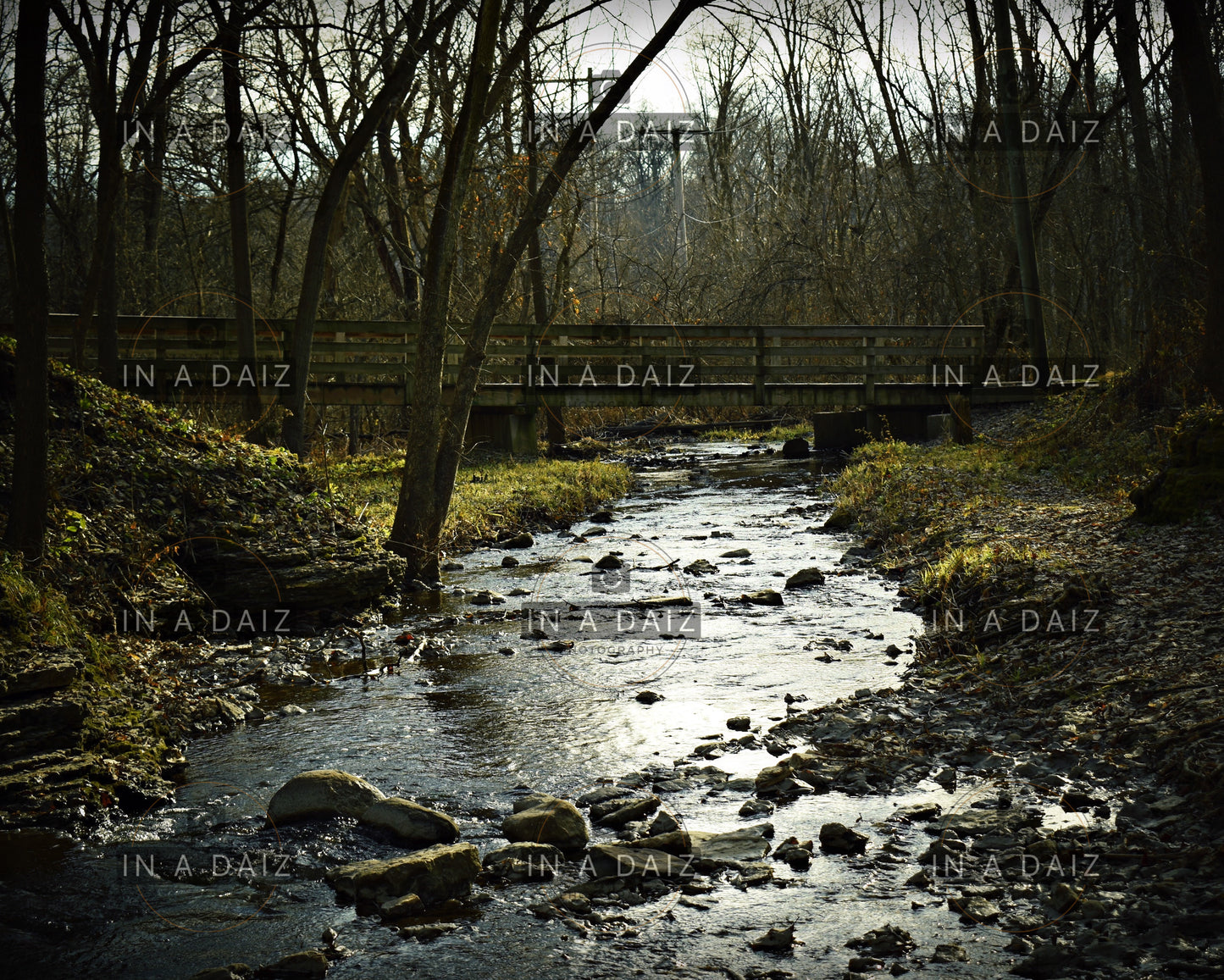 Elgin Creek Photo Print